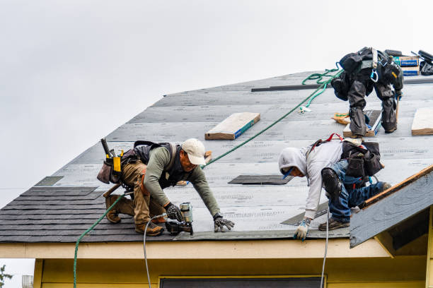 Professional Roof Inspection technician working in Aroma Park, IL